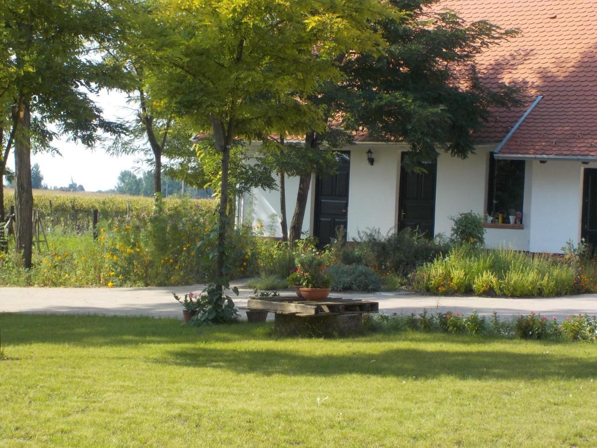 Guest House Vidravar Tabdi Ngoại thất bức ảnh